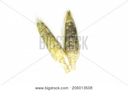 Boiled waxy corn isolated on white background
