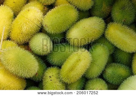 Exotic Cucumbers