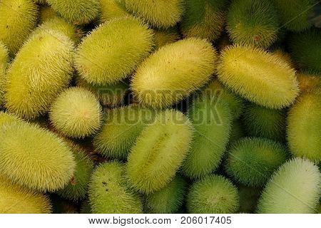 Exotic Cucumbers