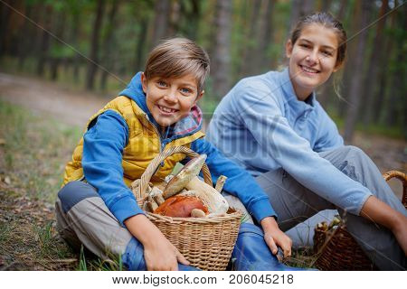 Mushrooms picking, season for mushrooms - lovely girl and boy with picked fresh edible mushrooms in basket in the forest