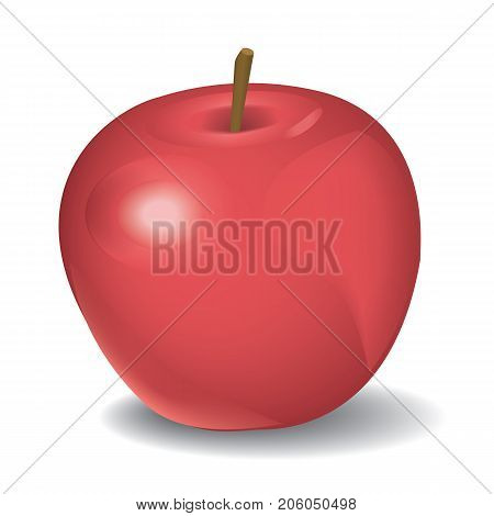 Vector illustration of red apple on white