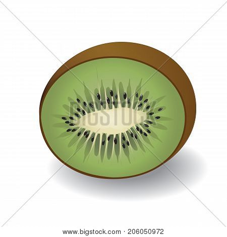Vector Illustration of a half kiwi fruit.