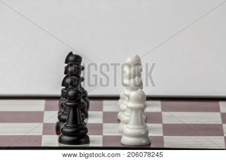 chess black and white pawns face to face. concept of struggle. Isolated on white background.