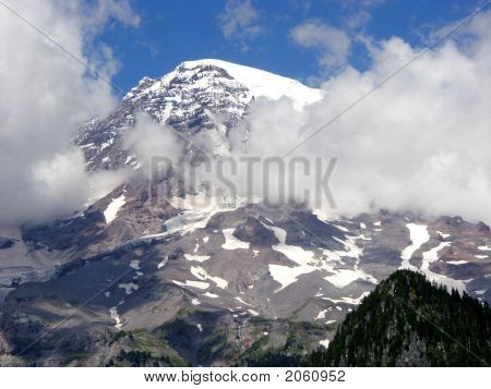 Rainer3