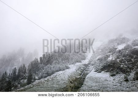 View Landscape Snow Snowing Covered On Alpine Tree At Top Of Mountain In Kaunergrat Nature Park