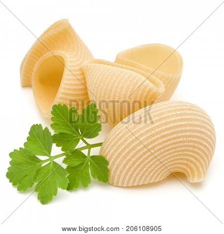 Italian lumaconi isolated on white background. Lumache, snailshell shaped pasta.