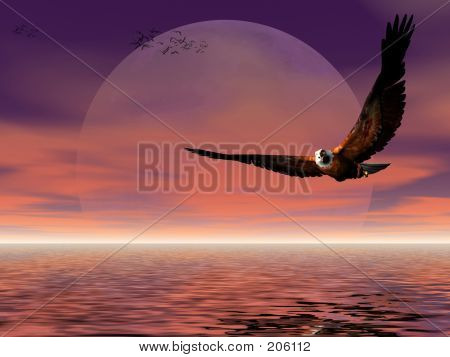 Månen stige med Eagle.