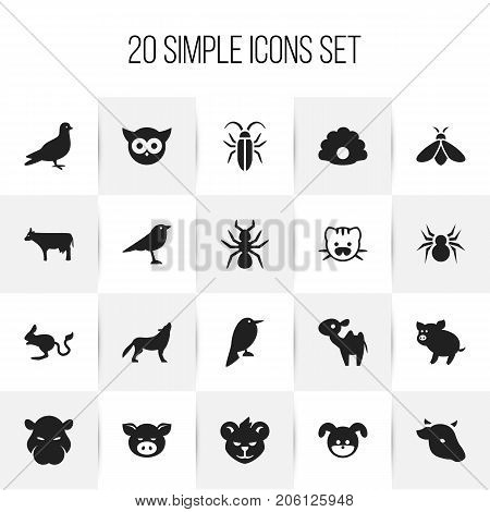 Set Of 20 Editable Zoology Icons. Includes Symbols Such As Catbird, Pigeon, Puppy And More