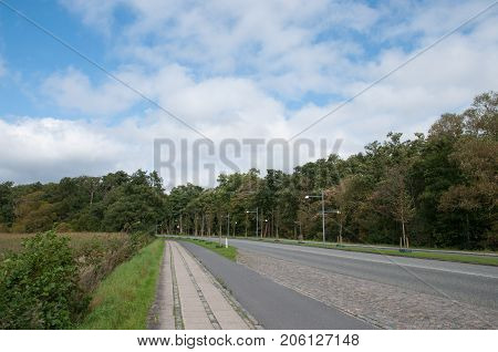 Road Near Soro Lake In Denmark