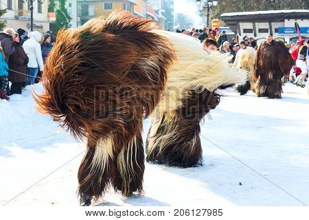 Razlog, Bulgaria - January 14, 2017: People in traditional carnival kuker costumes at Kukeri festival Starchevata