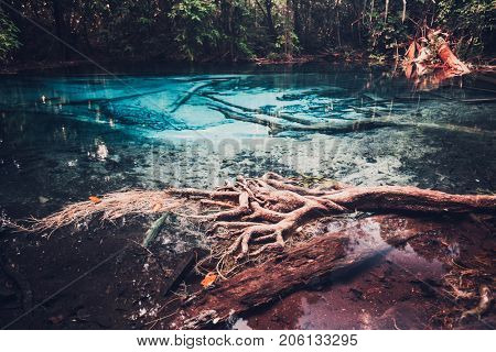 Sra Morakot Blue Pool at Krabi Province, Thailand. Clear emerald pond in tropical forest. The roots of trees with a beautiful lagoon in the rain-forest. Cross processed retro and vintage style toning