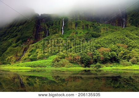 Tropical forest at Pozo da Alagoinha, Azores, Portugal, Europe