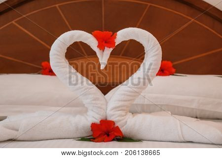 Towel swans and flowers on bed in hotel room