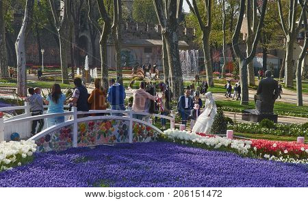 Istanbul Turkey - April 06 2016 Annual Spring Festival of Tulips new design Gulhane Park wedding also came to park. Local people and tourists are getting rest making photos and enjoy good weather and spring slice of life editorial.