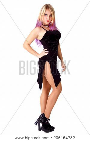 Hot Sexy blonde girl model in black dress and high heels isolated on white background