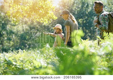 Family on a rambling day in countryside