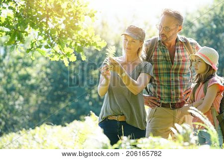 Family on rambling day looking at forest plants and trees