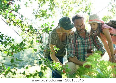 Family on rambling day looking at forest plants and trees