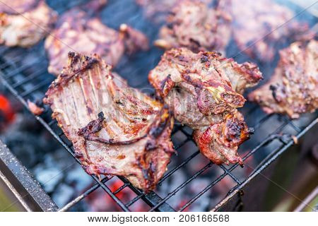 Nutria meat on grill.