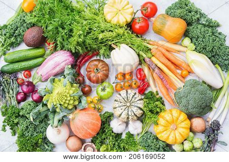 Organic farm crops, varieity of colorful organic vegetables and herbs on light grey stone background, top view, selective focus