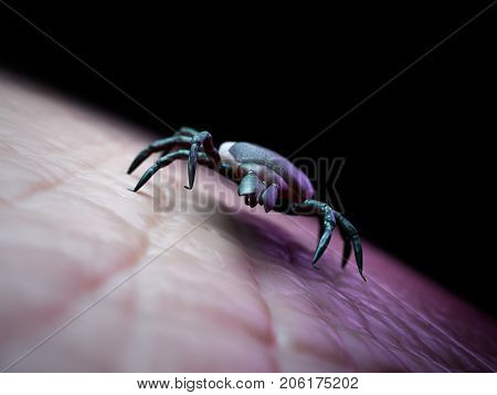 medically accurate 3d rendering of a tick