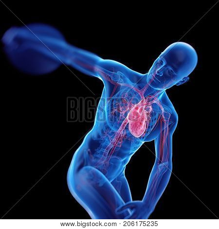 medically accurate 3d rendering of the heart of a discus thrower