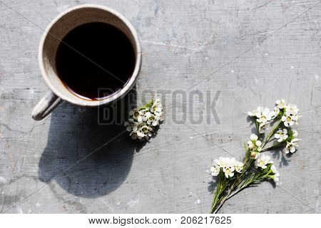 Aerial view of coffee cup with waxflowers