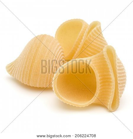 Italian lumaconi isolated on white background. Lumache, snailshell shaped pasta.