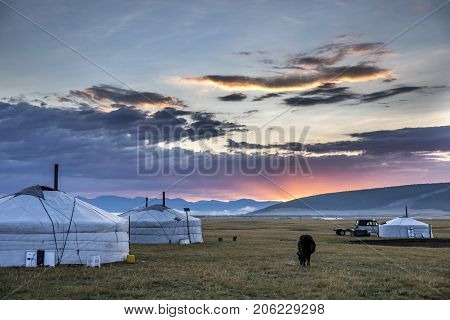 mongolian family gers in a landscape of northern Mongolia
