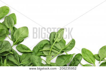 Fresh spinach leaves on white background