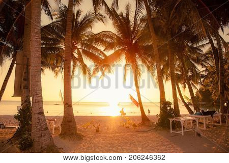 Palm trees during sunset on White beach. Boracay island . Philiphines.