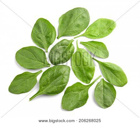 Fresh spinach leaves on white background