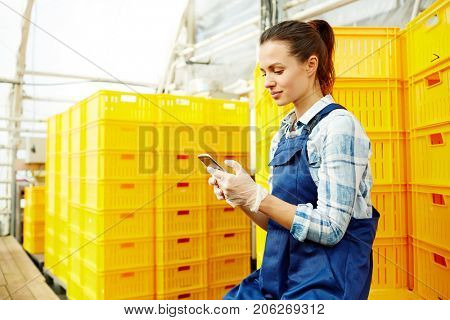 Owner of large industrial greenhouse trying to connect with market vendors to pass them picked and packed harvest