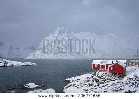 Red rorbu houses of Hamnoy fishing village on Lofoten Islands, Norway in snowfall in winter