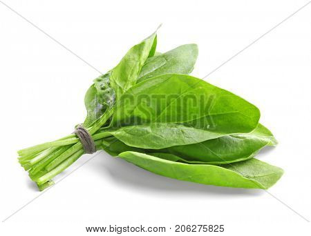 Fresh bunch of spinach on white background