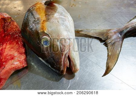Amberjack fish head fillet process in stainless steel kitchen