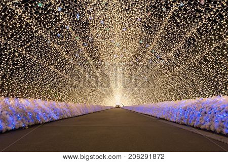 Nagoya, Japan. Nabana no Sato garden at night in winter