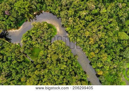Aerial View of Amazon Rainforest, South America