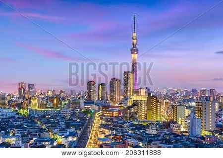 Tokyo, Japan cityscape over Sumida Ward.