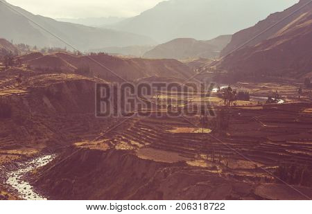 canyon Colca in Peru, South America