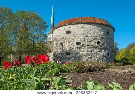 View of the Fat Margaret tower and st. Olav's Church. Tallinn Estonia EU