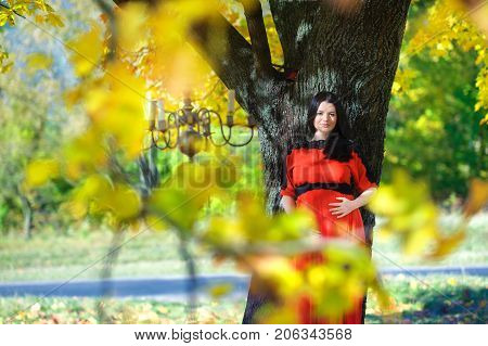 Happy Mother Waiting For The Child's Birth