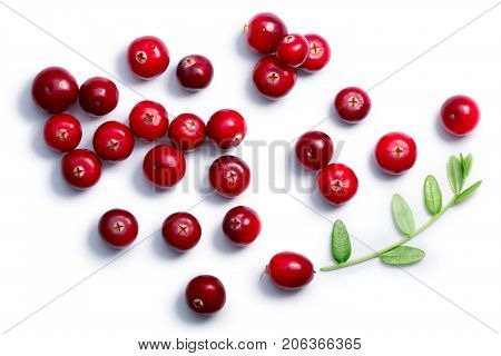 Cranberries With Leaves, Top View, Paths