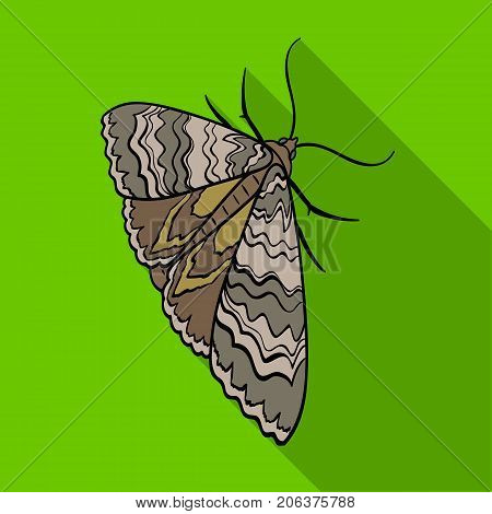 Moth, night butterfly. Insect pest moth single icon in flat style vector symbol stock isometric illustration .