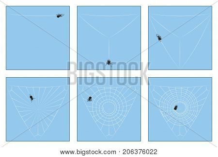 Spider web - construction manual in six stages from the first spinning thread to the complete orb web, depicted step by step. Isolated vector illustration.