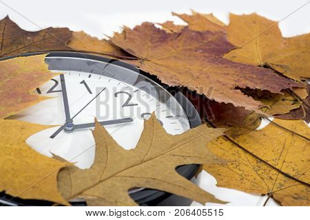 Daylight Saving Time.