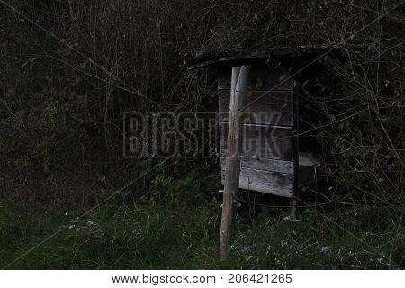 a hive in the forest in bavaria fall evening