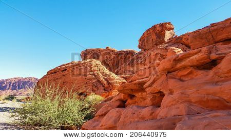This desert scene shows some life with the growth of the bush