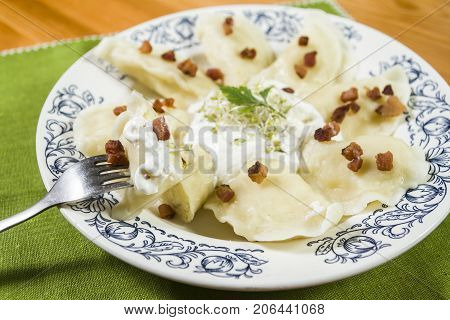 Cooked dumplings with cheese pork scratching and creme fraiche on wooden table. Polish ukrainian russian traditional food.