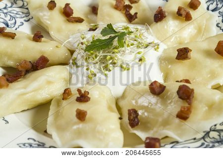 Cooked dumplings with cheese pork scratching and creme fraiche on wooden table. Polish ukrainian russian traditional food.